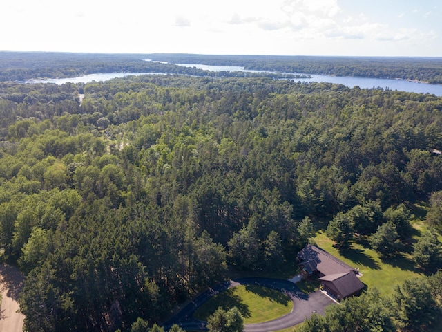 32433 Cedar St, Breezy Point, MN 56472 - bird's eye view of a heavily wooded area and a large body of water
