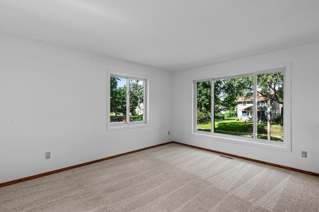5721 20th Ave S, Minneapolis, MN 55417 - photo 3