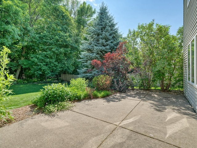 1483 Woods Creek Dr, Delano, MN 55328 - view of patio