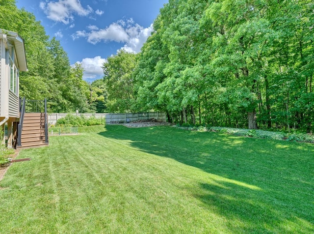 1483 Woods Creek Dr, Delano, MN 55328 - fenced backyard with stairs