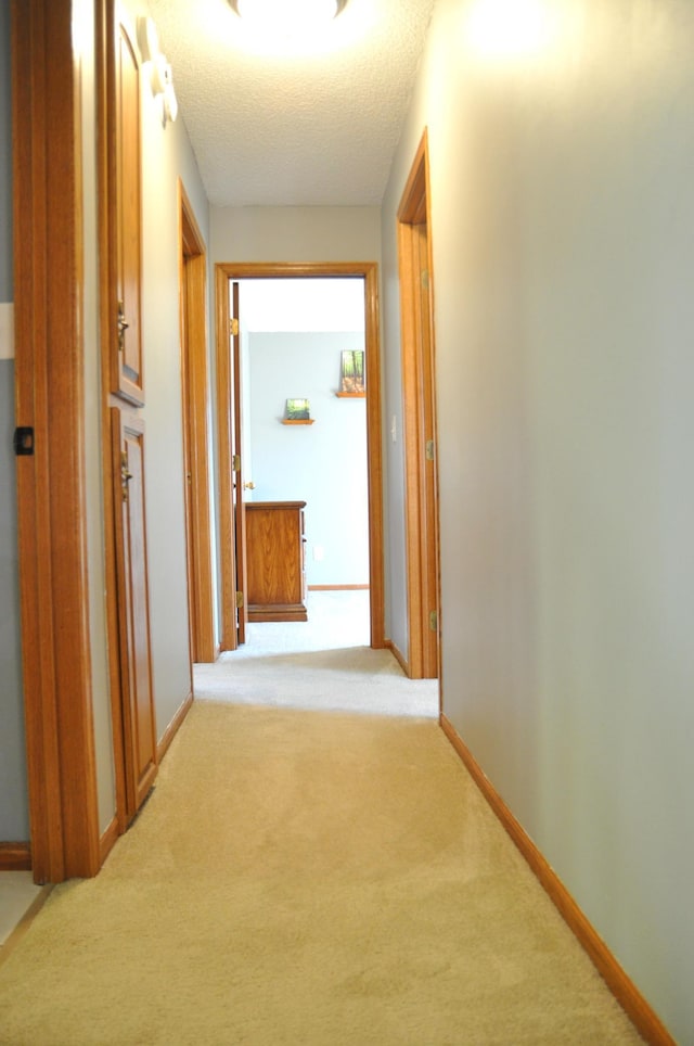 2011 49th St SE, Saint Cloud, MN 56304 - photo 16