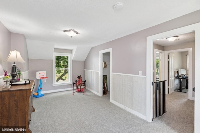 6665 295th St E, Randolph Twp, MN 55009 - photo 20