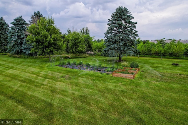 6665 295th St E, Randolph Twp, MN 55009 - photo 38