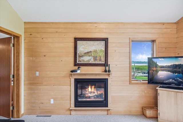 11959 Northgate Ln, Fifty Lakes, MN 56442 - detailed view of wooden walls, a glass covered fireplace, and carpet