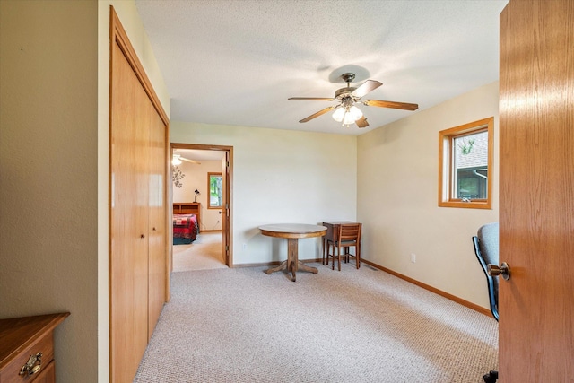 11959 Northgate Ln, Fifty Lakes, MN 56442 - office with a ceiling fan and light carpet