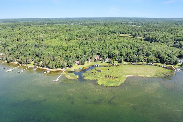 11959 Northgate Ln, Fifty Lakes, MN 56442 - view of property location featuring a large body of water