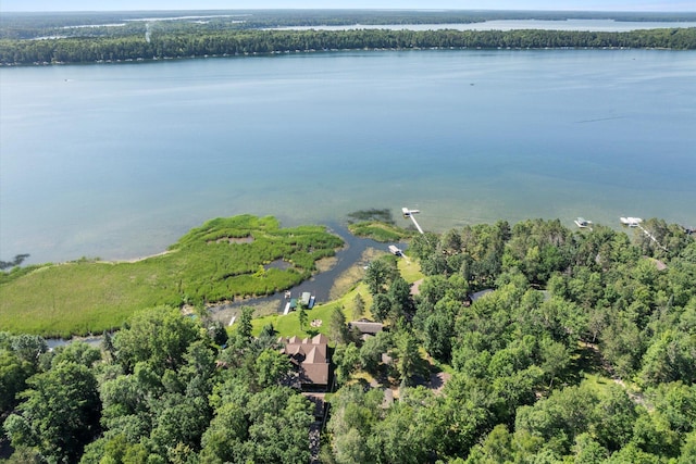 11959 Northgate Ln, Fifty Lakes, MN 56442 - aerial view of property and surrounding area with a large body of water and a heavily wooded area