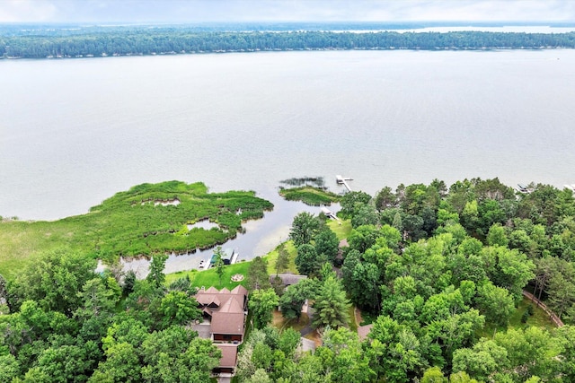 11959 Northgate Ln, Fifty Lakes, MN 56442 - bird's eye view of a large body of water