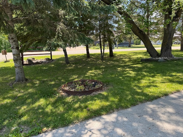 40149 181st St, Mickinock Twp, MN 56761 - view of green lawn