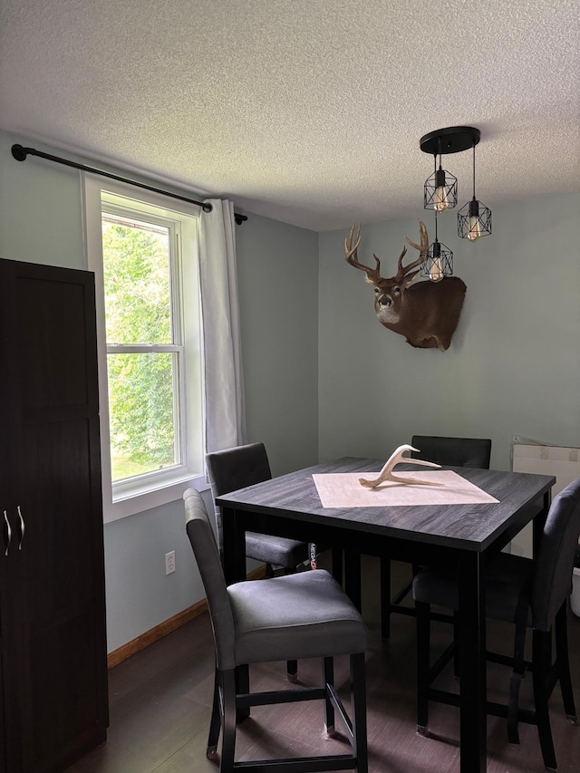 40149 181st St, Mickinock Twp, MN 56761 - dining area with a textured ceiling