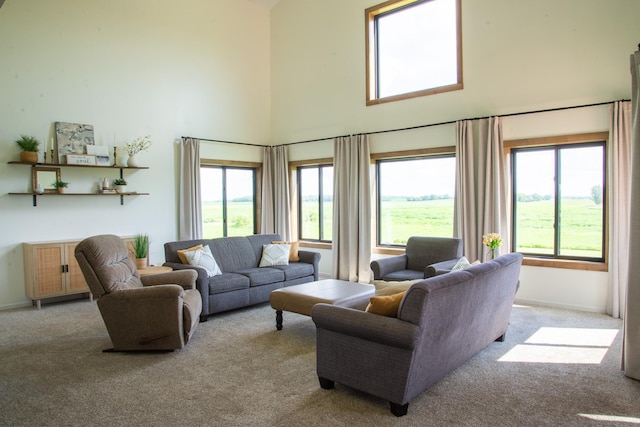 10253 County Road 3 SW, Cokato, MN 55321 - photo 11