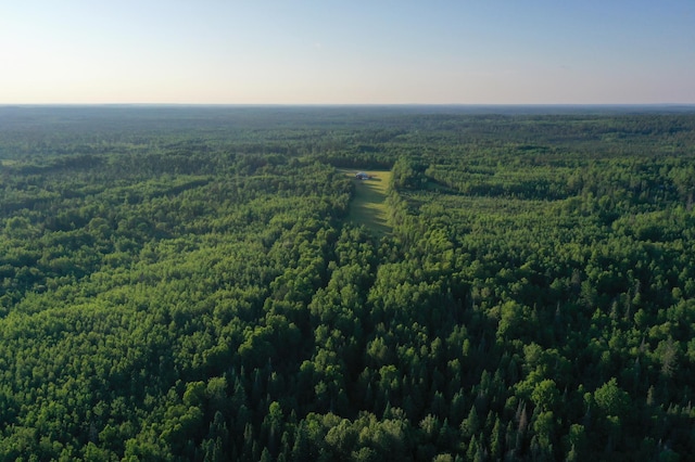 3602 Moose Ridge Rd, Isabella, MN 55607