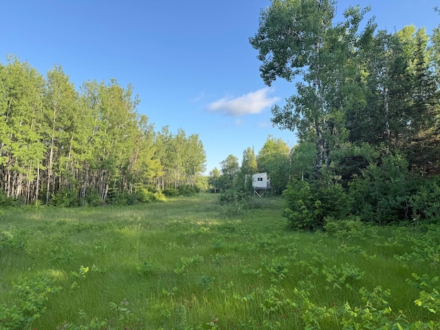 3602 Moose Ridge Rd, Isabella, MN 55607