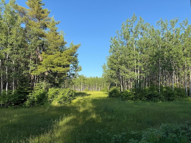 3602 Moose Ridge Rd, Isabella, MN 55607