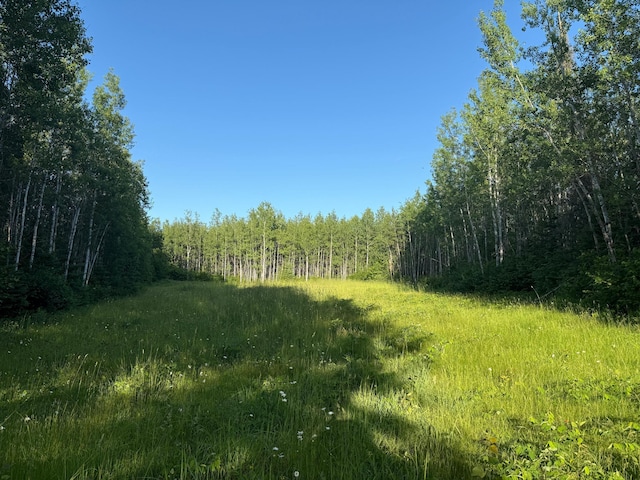 3602 Moose Ridge Rd, Isabella, MN 55607