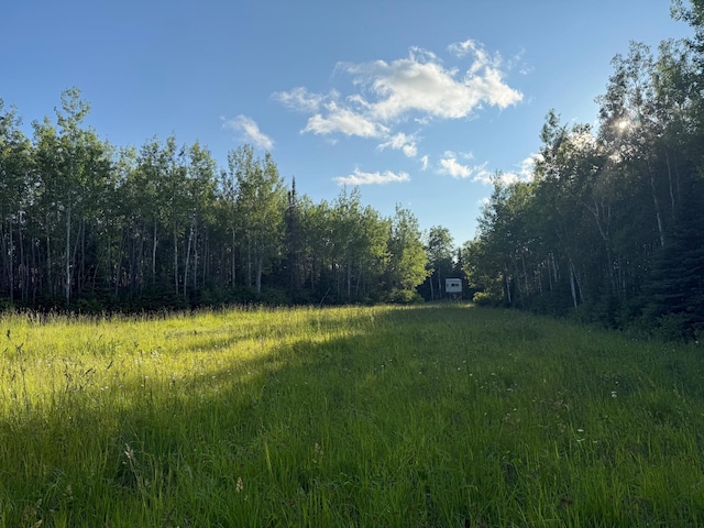 3602 Moose Ridge Rd, Isabella, MN 55607