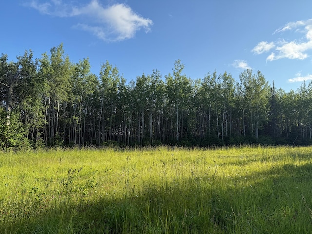 3602 Moose Ridge Rd, Isabella, MN 55607
