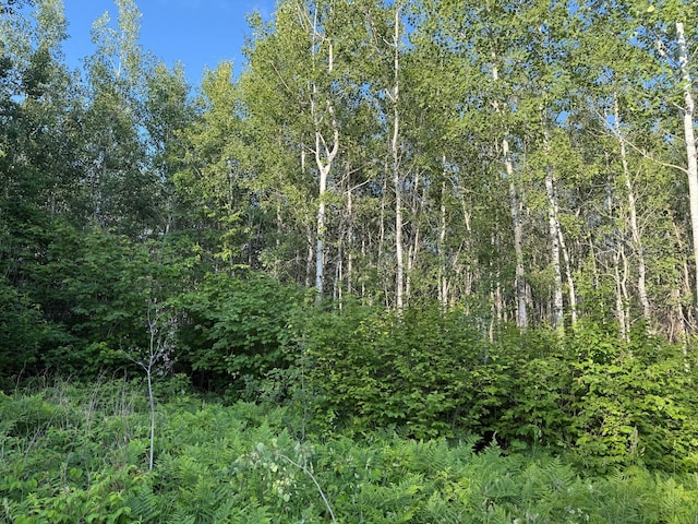 3602 Moose Ridge Rd, Isabella, MN 55607