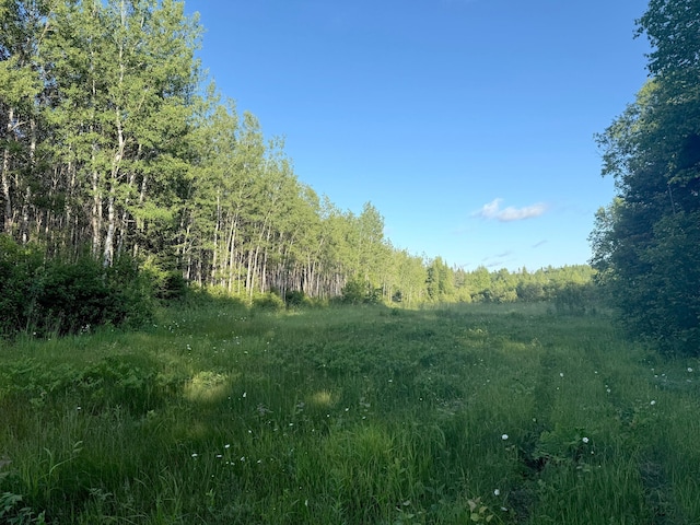 3602 Moose Ridge Rd, Isabella, MN 55607