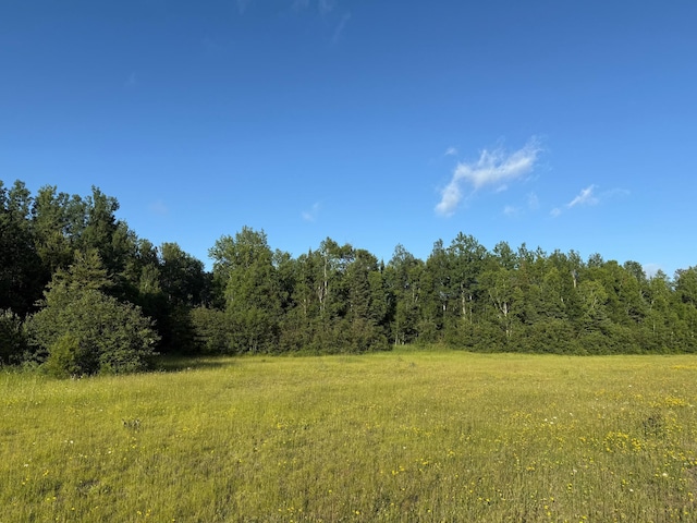 3602 Moose Ridge Rd, Isabella, MN 55607