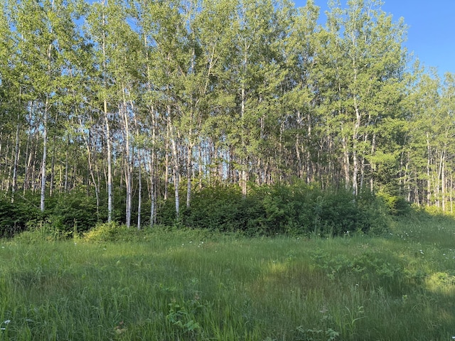 3602 Moose Ridge Rd, Isabella, MN 55607