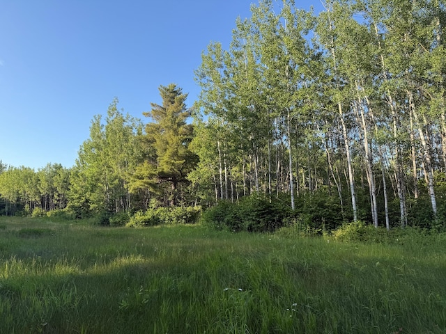 3602 Moose Ridge Rd, Isabella, MN 55607