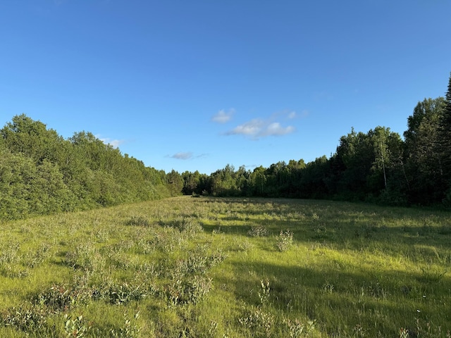 3602 Moose Ridge Rd, Isabella, MN 55607