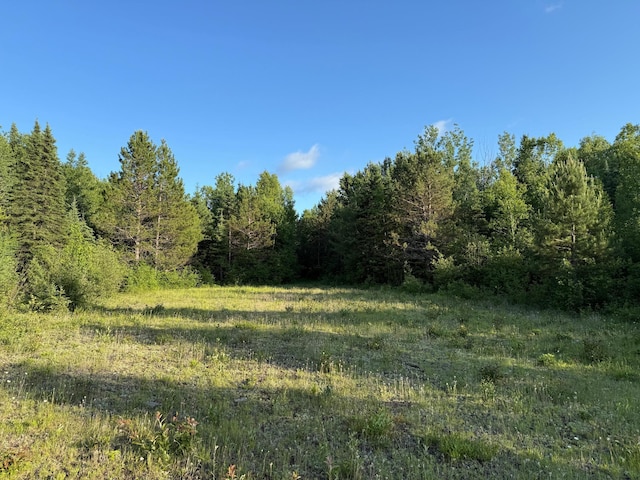 3602 Moose Ridge Rd, Isabella, MN 55607