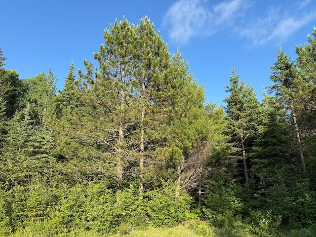 3602 Moose Ridge Rd, Isabella, MN 55607