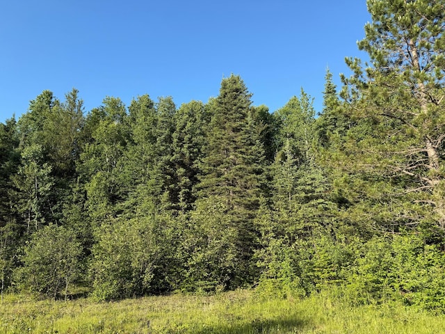 3602 Moose Ridge Rd, Isabella, MN 55607