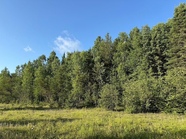 3602 Moose Ridge Rd, Isabella, MN 55607