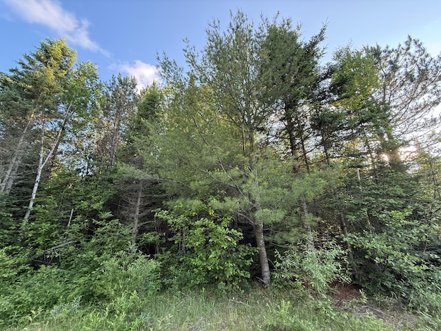 3602 Moose Ridge Rd, Isabella, MN 55607