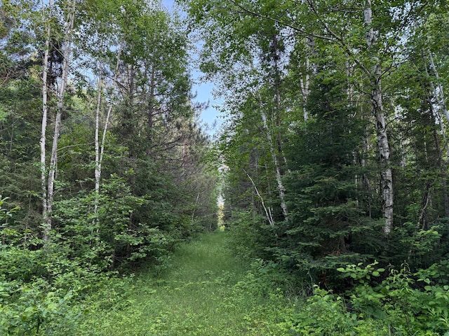 3602 Moose Ridge Rd, Isabella, MN 55607