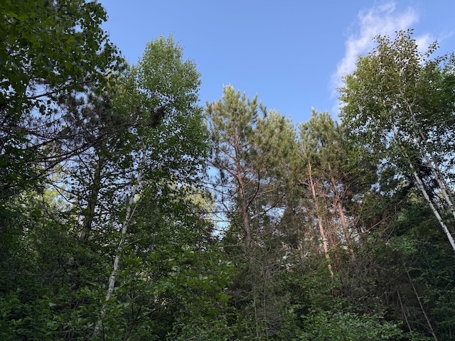 3602 Moose Ridge Rd, Isabella, MN 55607