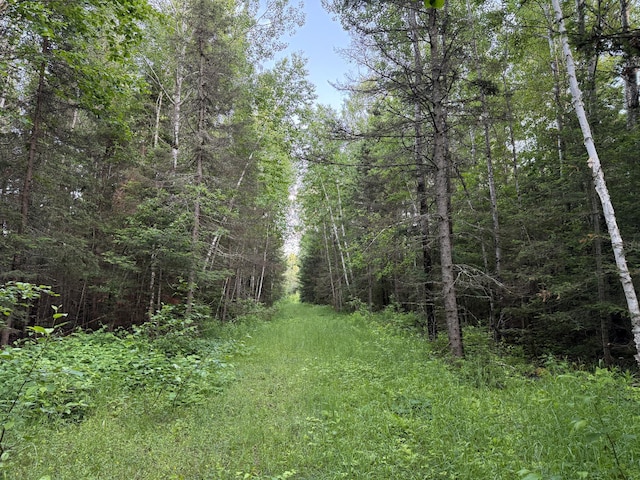 3602 Moose Ridge Rd, Isabella, MN 55607