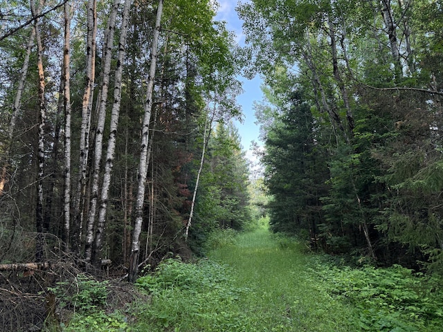 3602 Moose Ridge Rd, Isabella, MN 55607