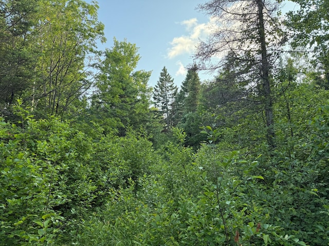 3602 Moose Ridge Rd, Isabella, MN 55607