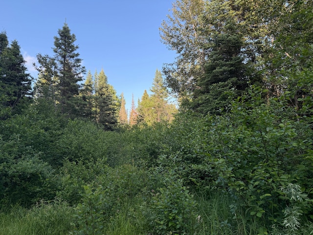 3602 Moose Ridge Rd, Isabella, MN 55607