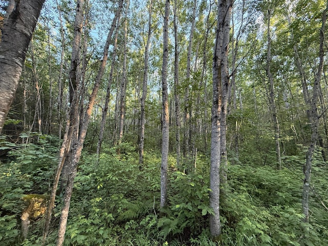 3602 Moose Ridge Rd, Isabella, MN 55607