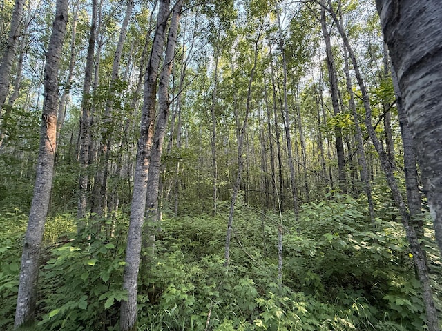 3602 Moose Ridge Rd, Isabella, MN 55607
