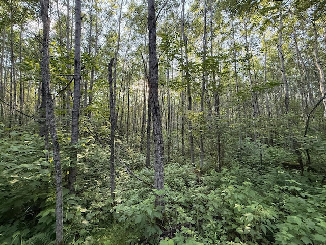 3602 Moose Ridge Rd, Isabella, MN 55607