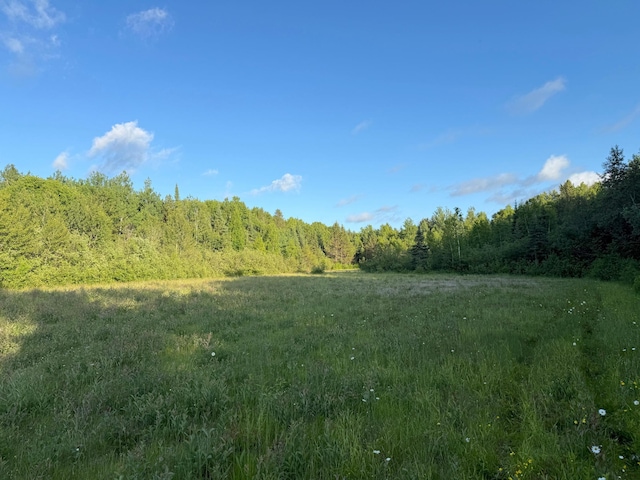 3602 Moose Ridge Rd, Isabella, MN 55607