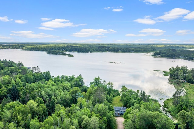 17053 490th St, Shamrock Twp, MN 55760 - drone / aerial view of a nearby body of water and a heavily wooded area