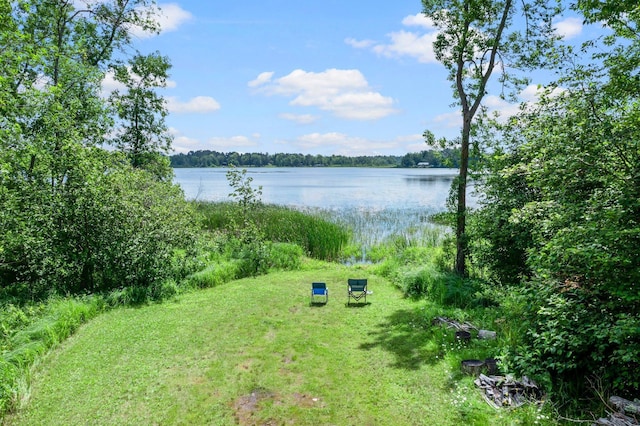 17053 490th St, Shamrock Twp, MN 55760 - water view