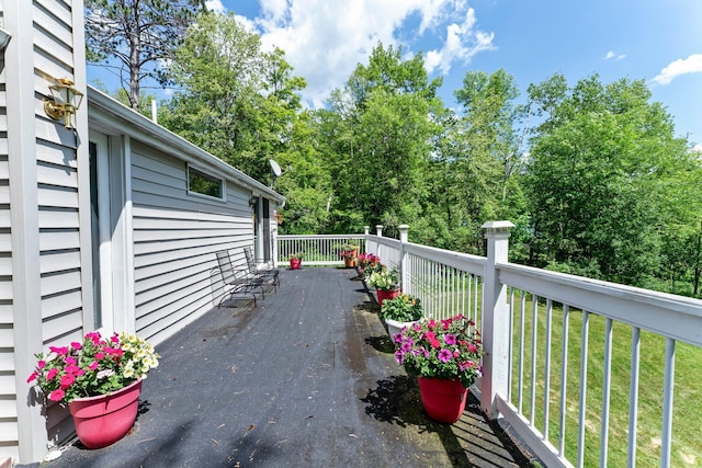 17053 490th St, Shamrock Twp, MN 55760 - view of patio