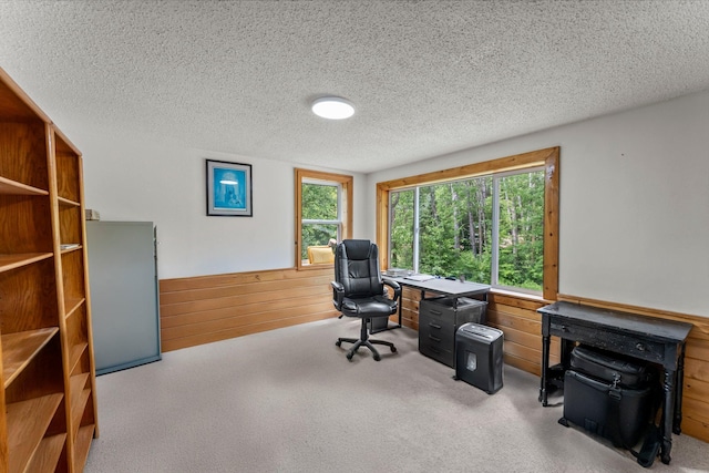 17053 490th St, Shamrock Twp, MN 55760 - office with wood walls, carpet floors, a wainscoted wall, and a textured ceiling
