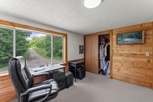 17053 490th St, Shamrock Twp, MN 55760 - carpeted office with a textured ceiling, electric panel, and wooden walls