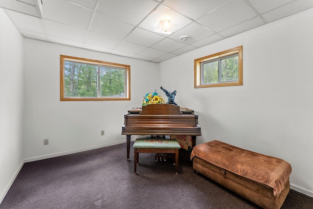 17053 490th St, Shamrock Twp, MN 55760 - sitting room featuring plenty of natural light, a paneled ceiling, and carpet flooring