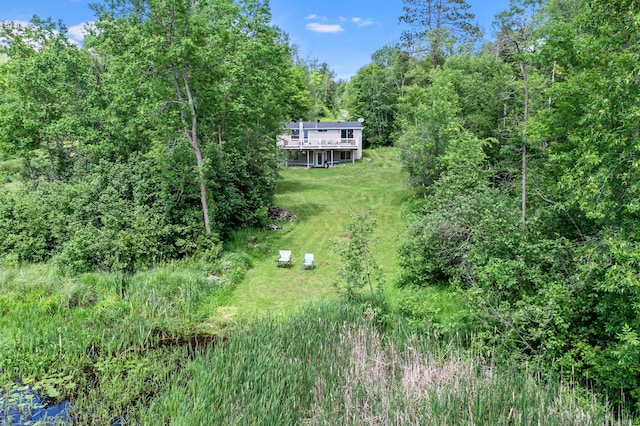17053 490th St, Shamrock Twp, MN 55760 - aerial view of property and surrounding area featuring a heavily wooded area