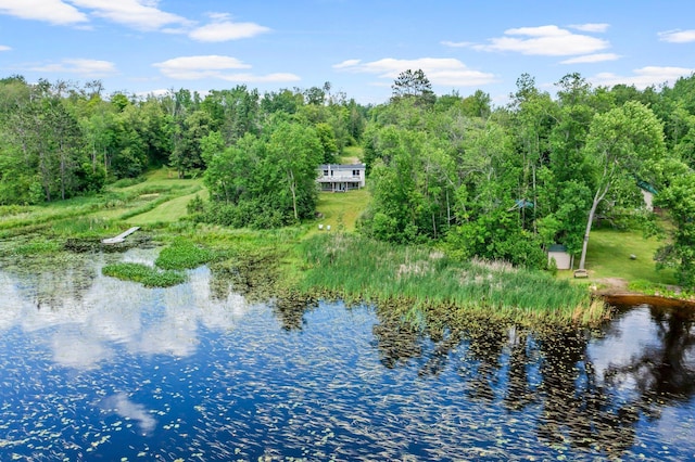 17053 490th St, Shamrock Twp, MN 55760 - water view